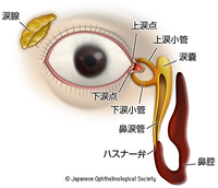 ドライアイ ドライアイ
