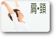 肩・頚 説明 肩・頚 説明