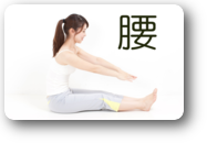 腰 説明 腰 説明